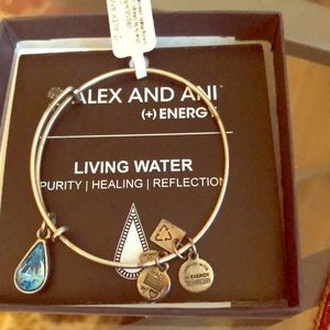 Alex and Ani bracelet